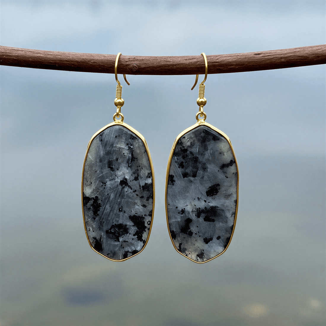 Grote edelstenen oorbellen met zwarte labradoriet en goud edelstaal hangend aan takje | Big Black Labradorite Gold