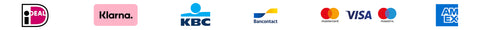 Logo's van betaal methodes in de webshop van Zhen Zhu