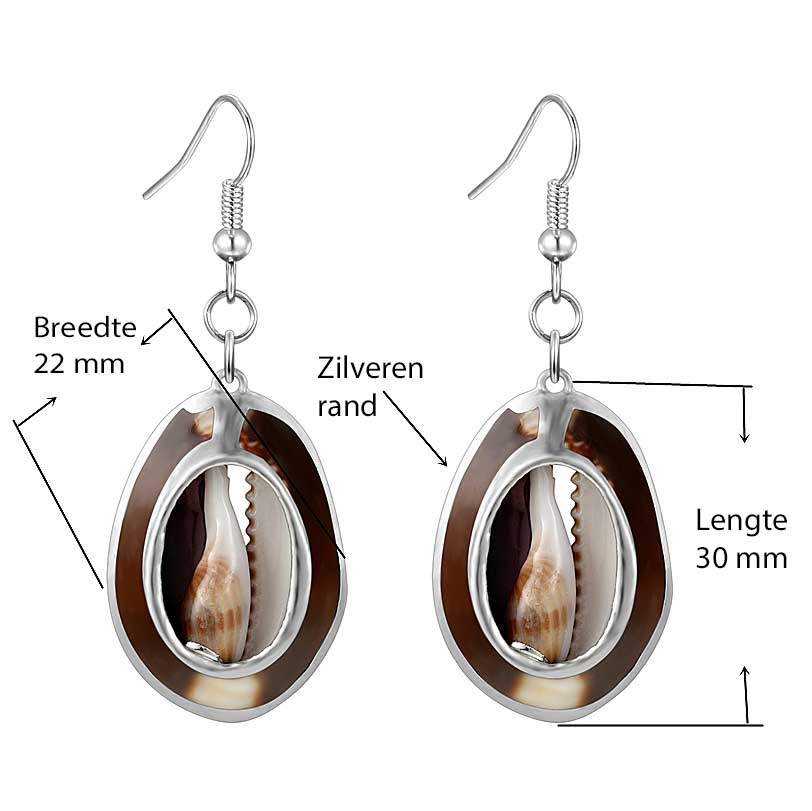 Donker bruine schelpen oorbellen met sterling zilver (925) met maat indicatie | Shell Cowrie Silver