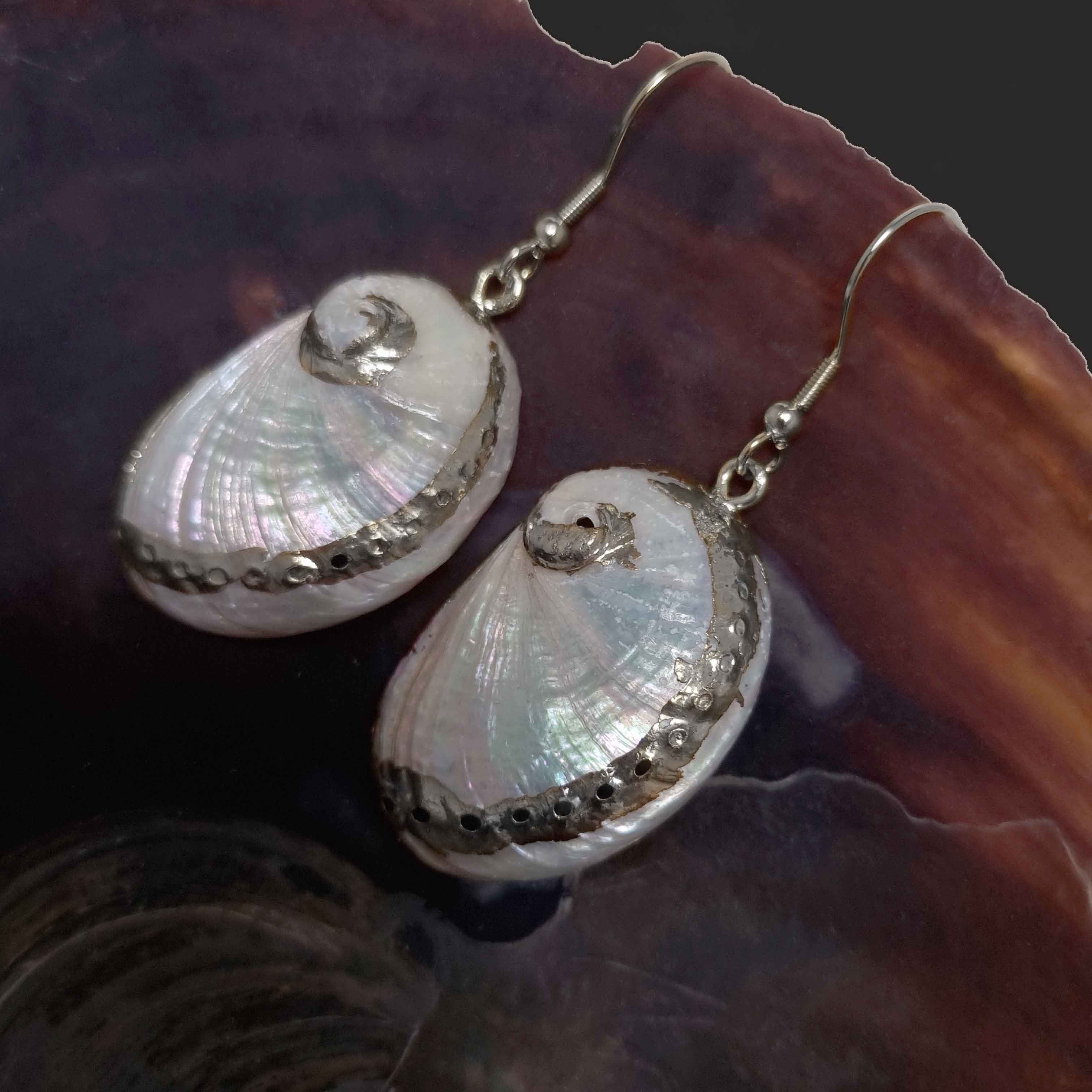 Witte parelmoeren schelpen oorbellen met zilver edelstaal liggend in donkere schelp | White Shell Silver