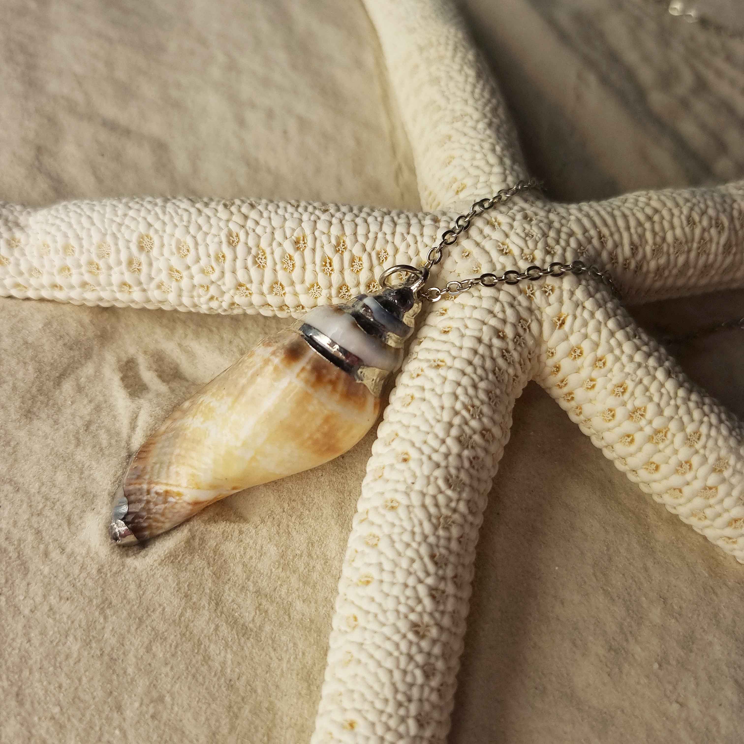 Schelpen ketting met licht bruine schelp en zilver edelstaal liggend op zand | set Seashell Silver