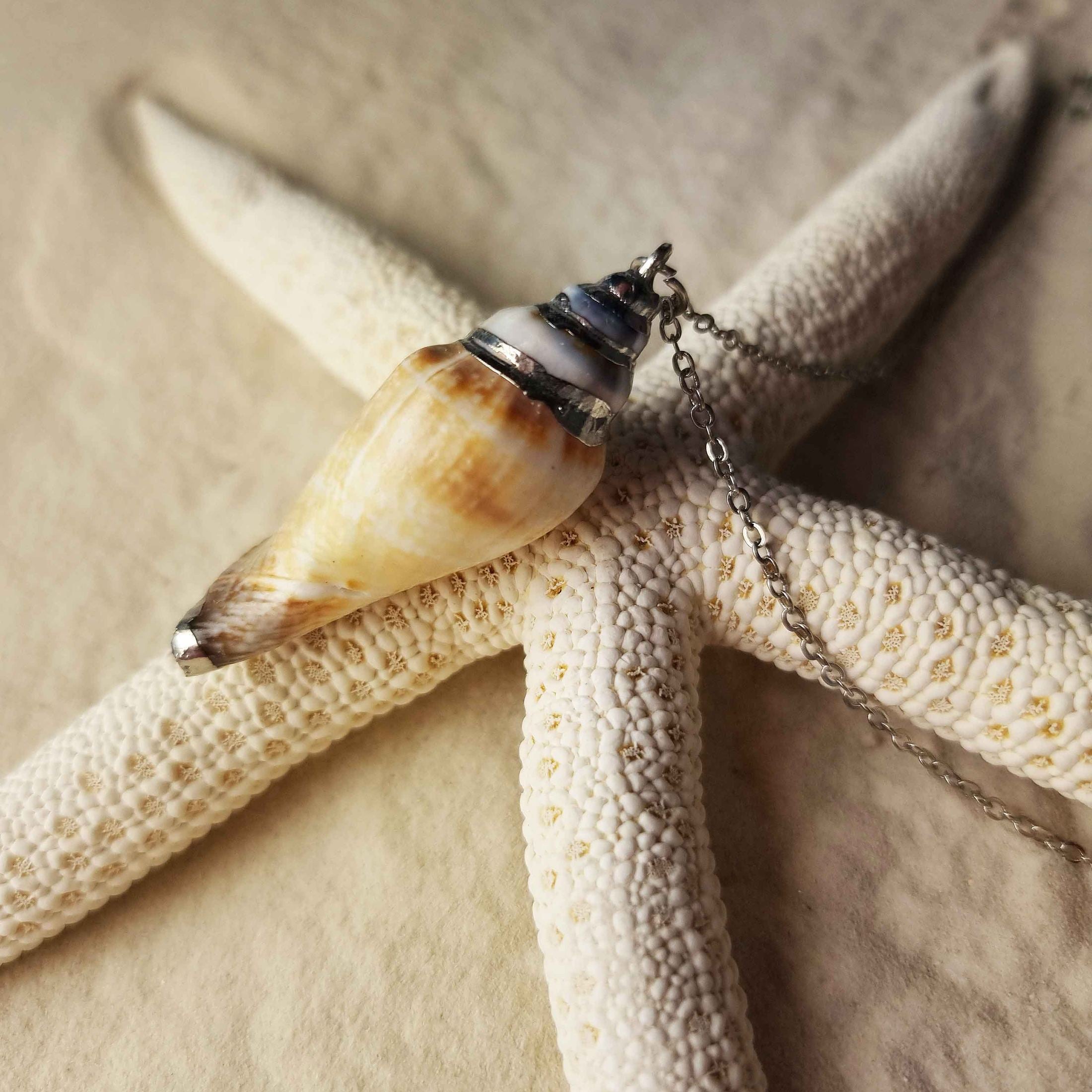 Detail van schelpen ketting met licht bruine schelp en zilver edelstaal liggend op zeester | set Seashell Silver