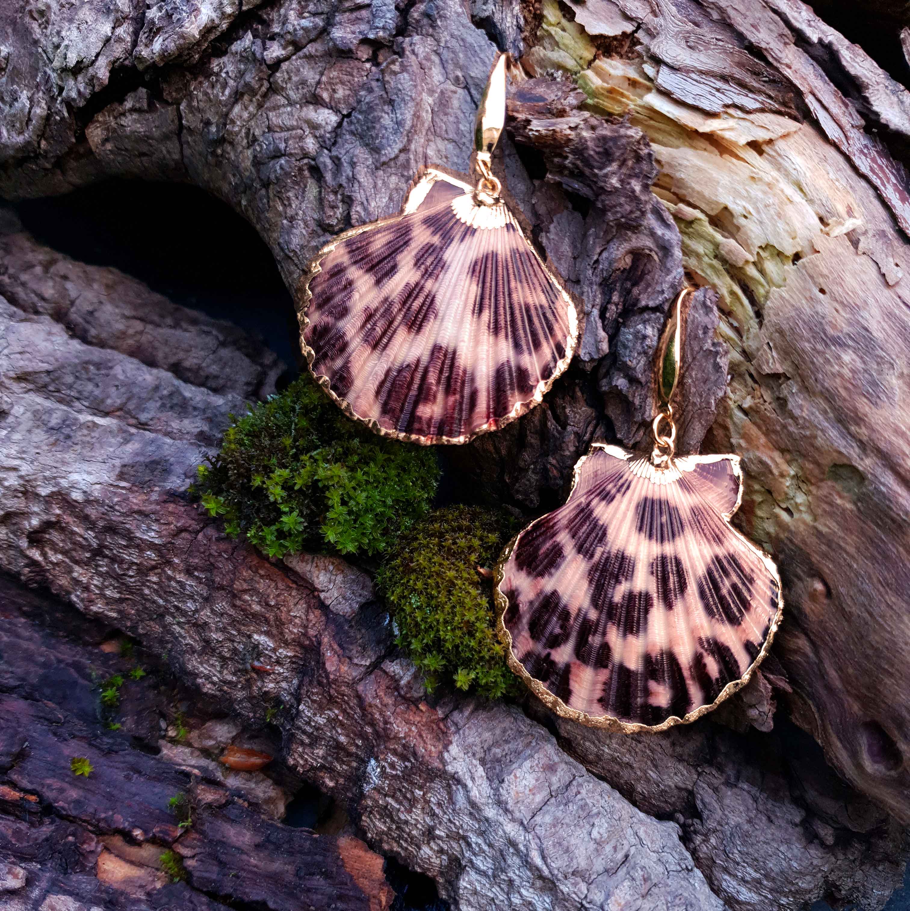 Grote schelpen oorbellen met bruine Shell schelp met panter motief en goud edelstaal liggend op hout | Gold Sea Shell Panther