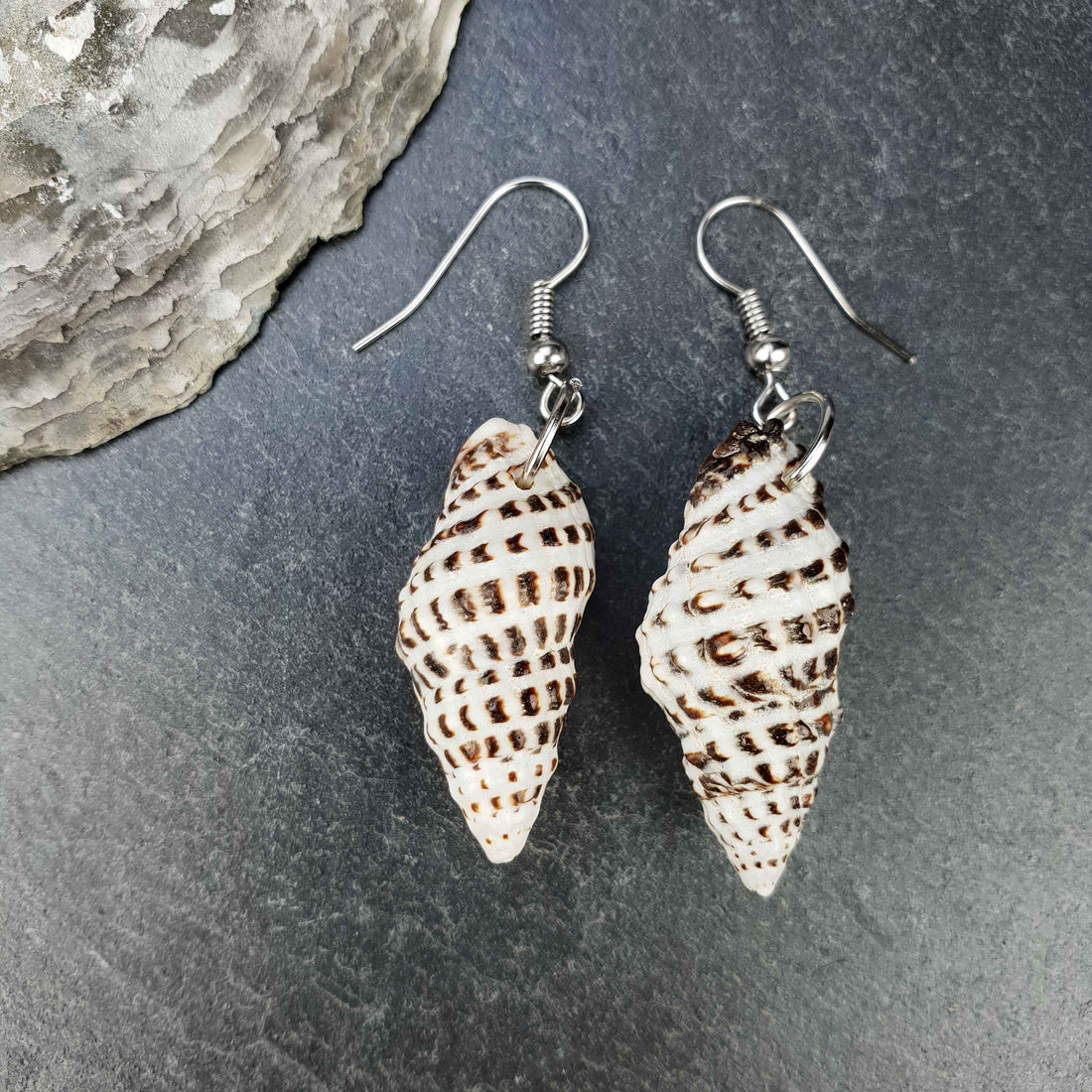 Schelpen oorbellen met witte bruine schelp en sterling zilver (925) liggend op leisteen | Small Trumpet Shell