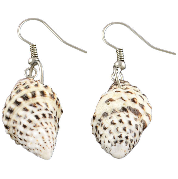 Schelpen oorbellen met witte bruine schelp en sterling zilver (925) liggend | Small Trumpet Shell