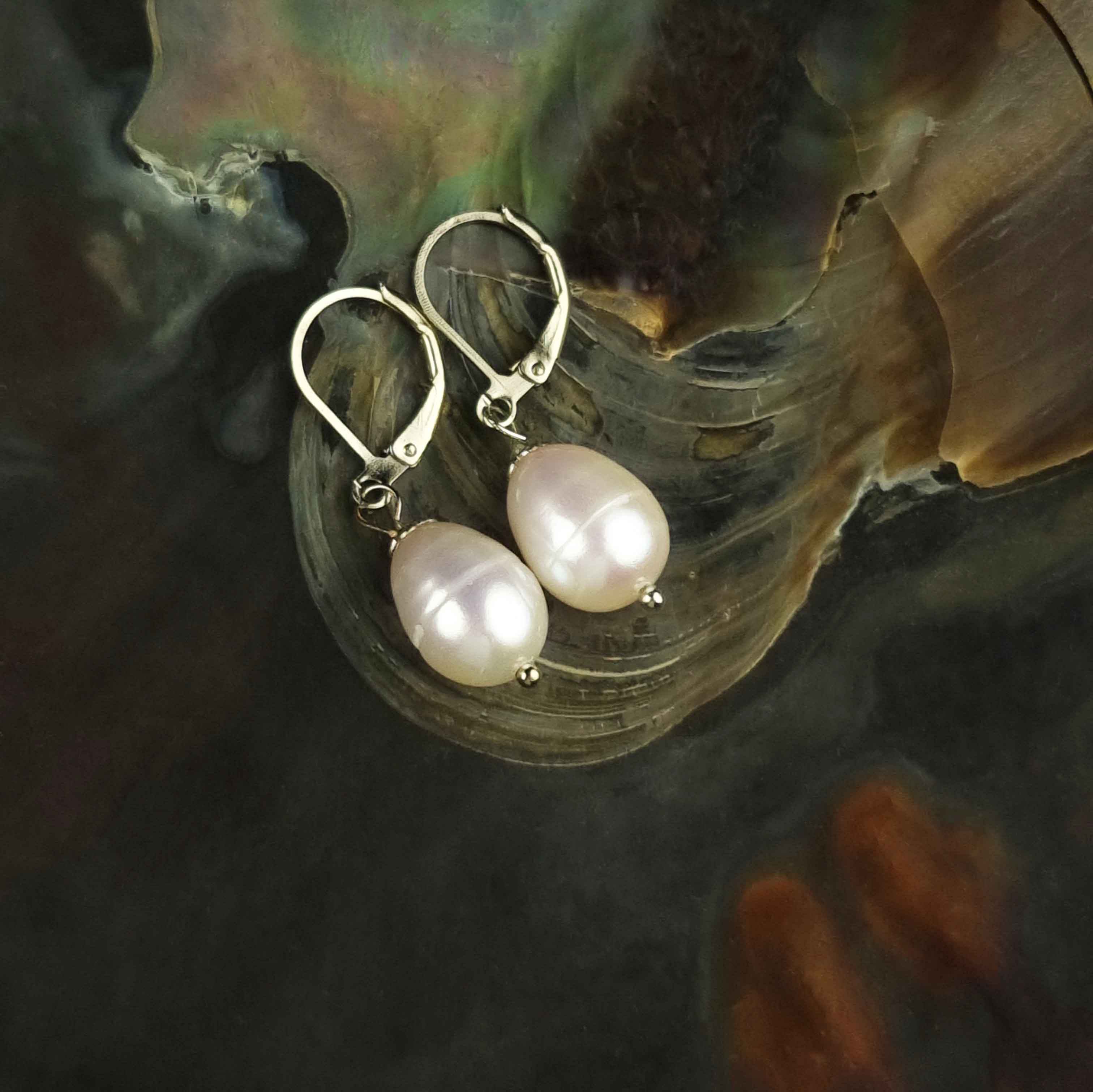 Witte zoetwater parel oorbellen met sterling zilveren (925) oorbelhaakje liggend in schelp | Wola