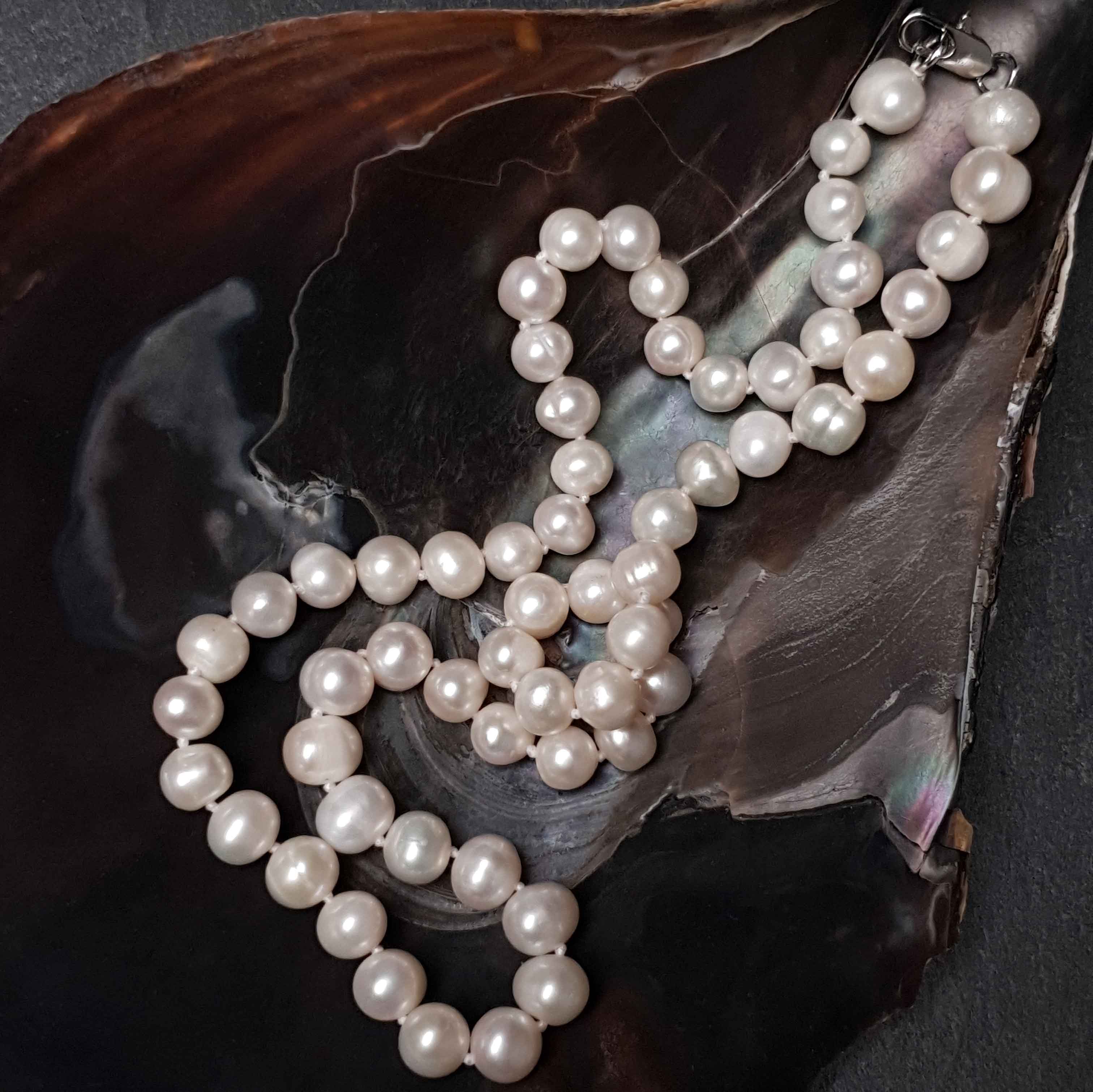 Handgeknoopte parelketting met witte parels en sterling zilver (925) liggend in schelp | set Bella