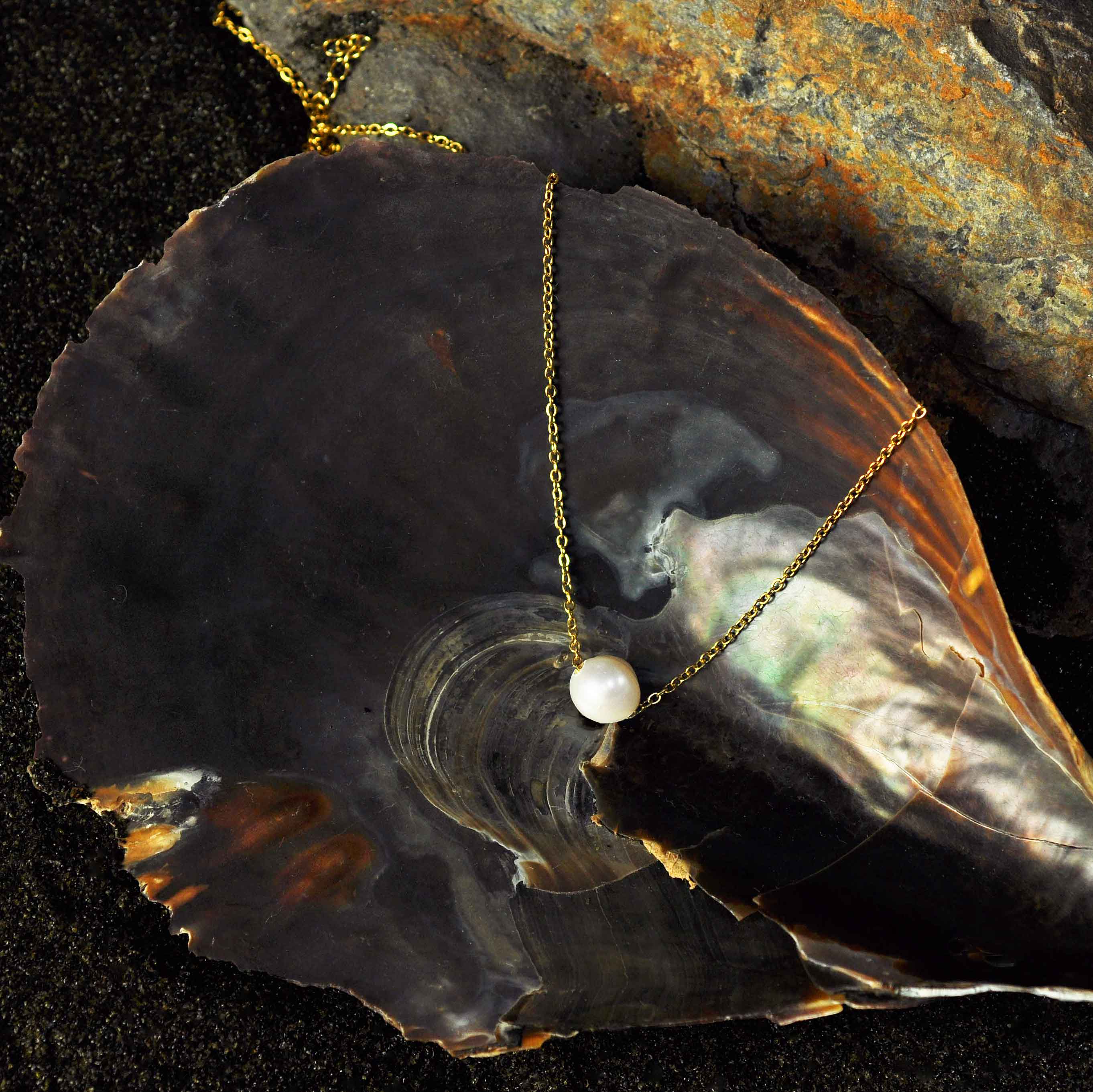 Zoetwater parelketting met witte parel aan goud edelstalen ketting liggend in schelp | Single One Pearl Gold