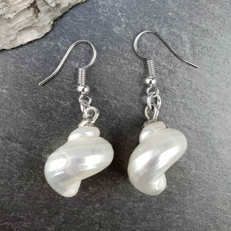 Schelpen oorbellen in Boho stijl met zilver edelstaal liggend op leisteen | Pearl White Turbo Shell