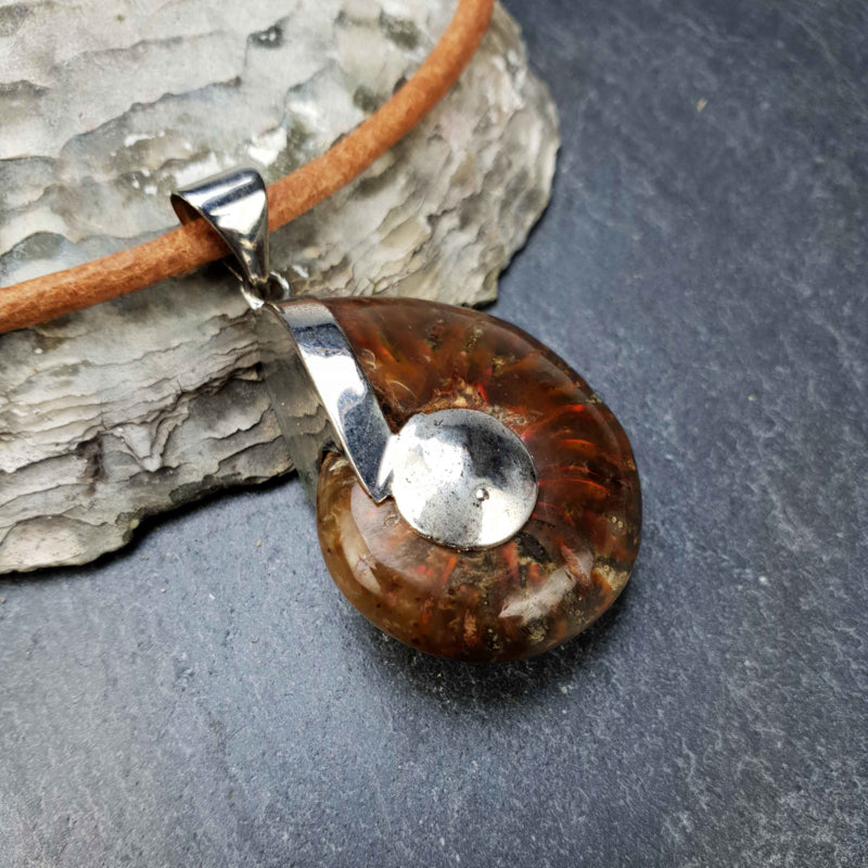 Detail van schelpen ketting met een versteende nautulus schelp en leer liggend op leisteen | Fossiel