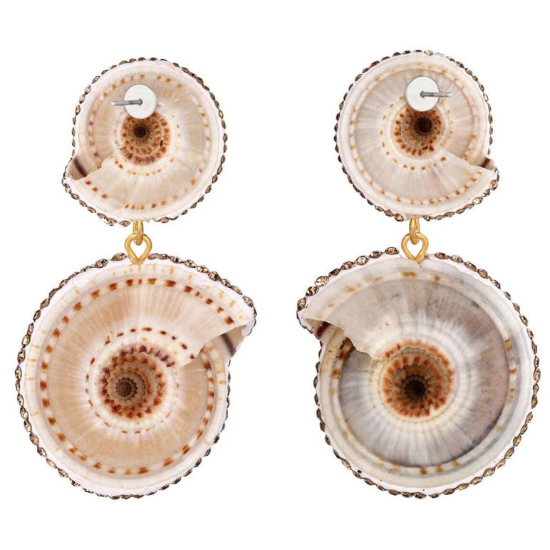 Schelpen oorbellen met wit bruine schelp en stras steentjes | Oorknoppen met schelp achterzijde | Bright Double Natural Shell