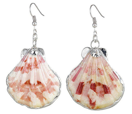 Schelpen oorbellen met Shell schelp en sterling zilver (925) | Shellina