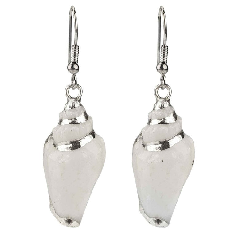 Schelp oorbellen met witte schelp en sterling zilver (925) | White Calau Shell Silver