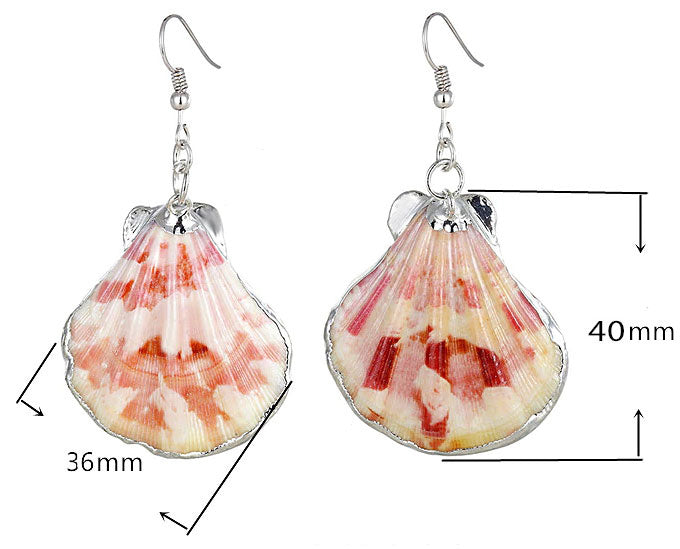 Schelpen oorbellen met Shell schelp en sterling zilver (925) met maat indicatie | Shellina