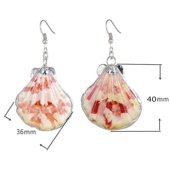 Schelpen oorbellen met Shell schelp en sterling zilver (925) met maat indicatie | Shellina