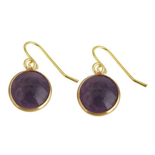 Paarse edelstenen oorbellen met goud edelstaal en donkere amethist | Amethyst Gold Round