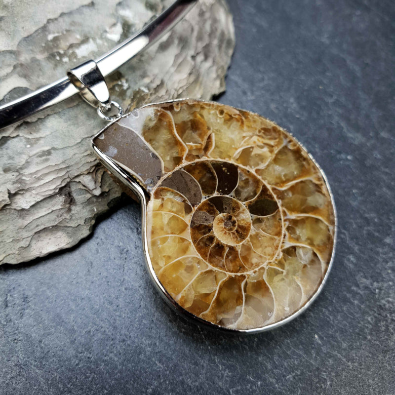 Detail van schelpen ketting met een versteenden nautulus schelp liggend op steen| Snail