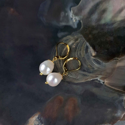 Witte zoetwater parel oorbellen met goud edelstaal liggend in schelp | Abby