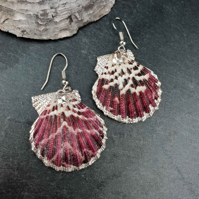 Schelp oorbellen met rood paarse Shell schelp en sterling zilver (925) liggend op leisteen | Shellina P