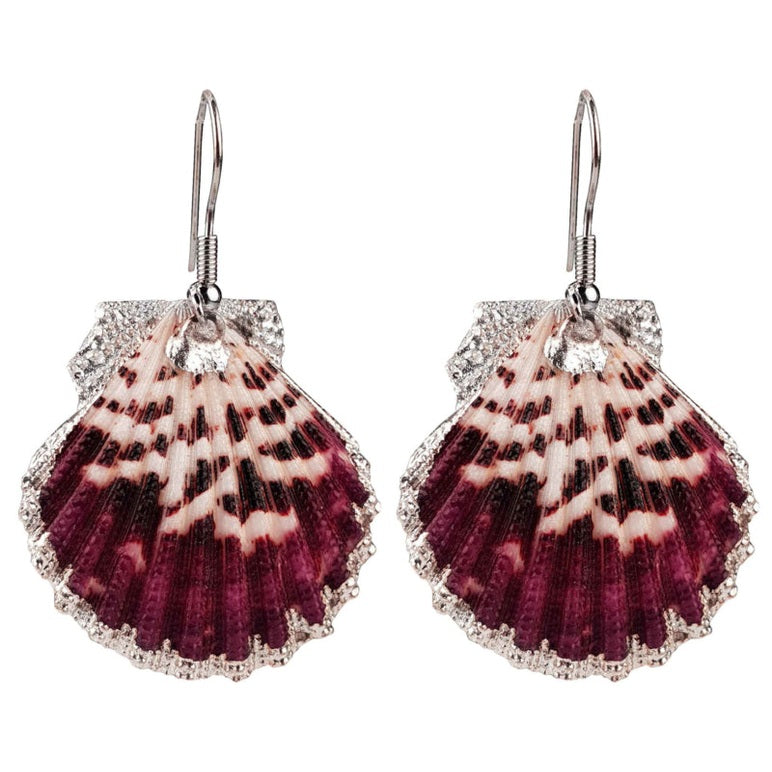 Schelp oorbellen met rood paarse Shell schelp en sterling zilver (925) | Shellina P