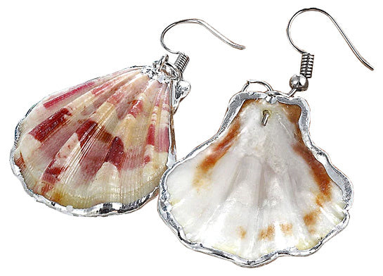 Schelpen oorbellen met Shell schelp en sterling zilver (925) voor en achterzijde | Shellina