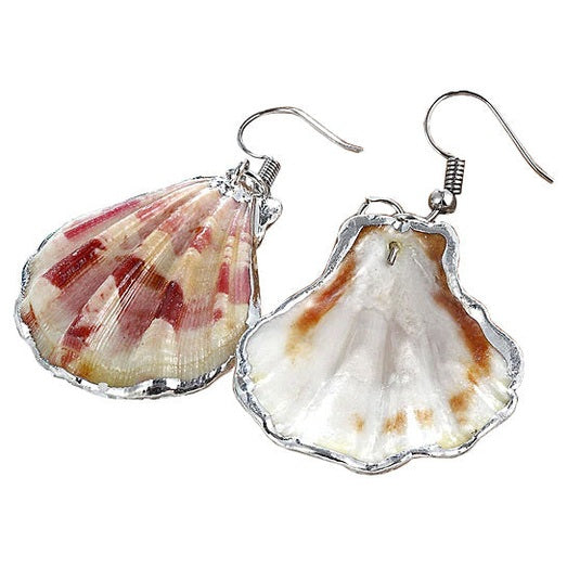 Schelpen oorbellen met Shell schelp en sterling zilver (925) voor en achterzijde | Shellina