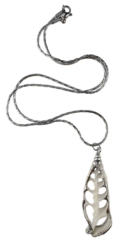 Schelpen ketting met witte schelp hanger en zilver edelstaal | White Trumpet Shell Silver