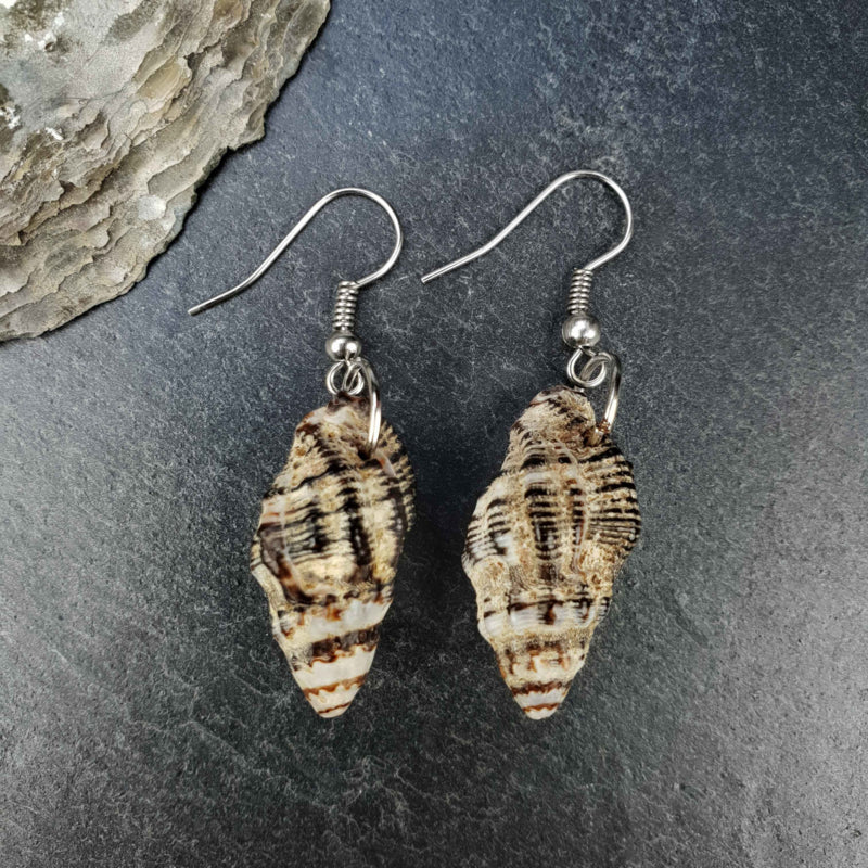 Kleine schelpen oorbellen met bruine schelp en sterling zilver (925) liggend op leisteen | Small Trumpet Shell Dark