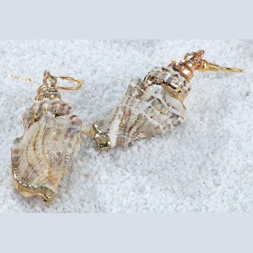 Schelpen oorbellen met wit beige schelp en goud edelstaal liggend op zout | Seashell Gold