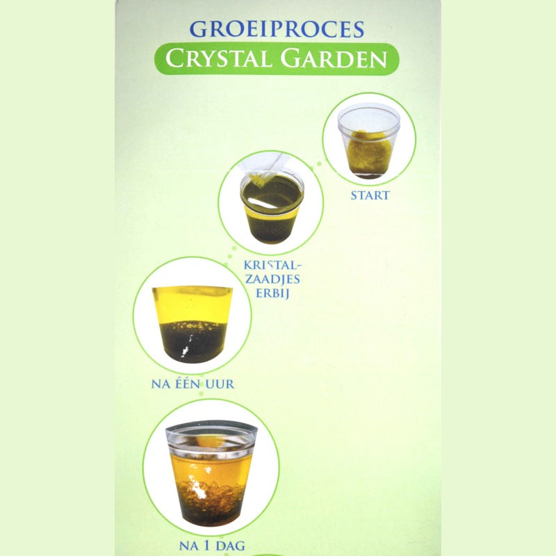 Groei proces van de groei kristal | Cadeau set Crystal Garden - Vrede