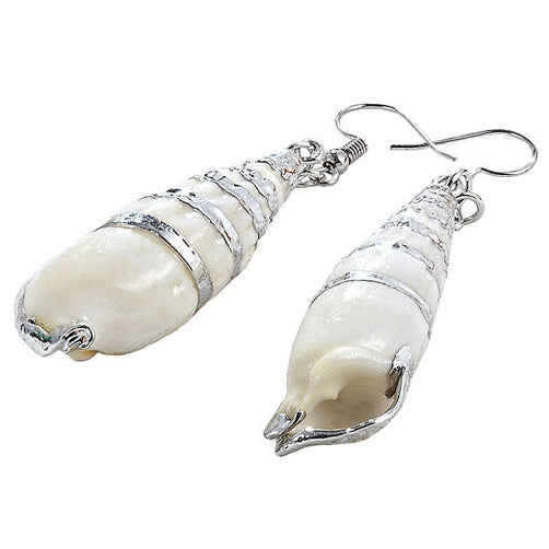 Schelpen oorbellen met witte schelp en sterling zilver (925) liggend| Big White Shell Silver