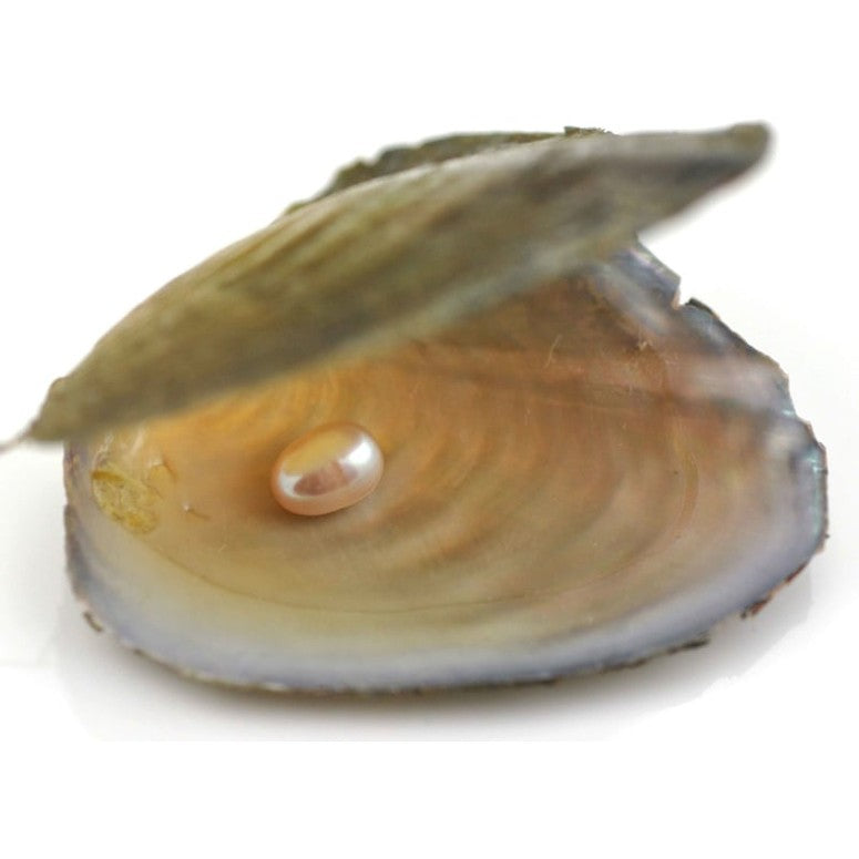 Oester in parel uit de wens parel | Kerst