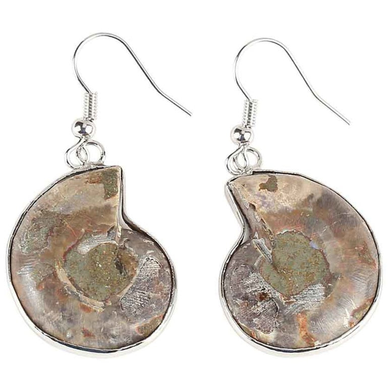 Bruine fossiele schelp oorbellen met sterling zilver (925) achterzijde | Snail