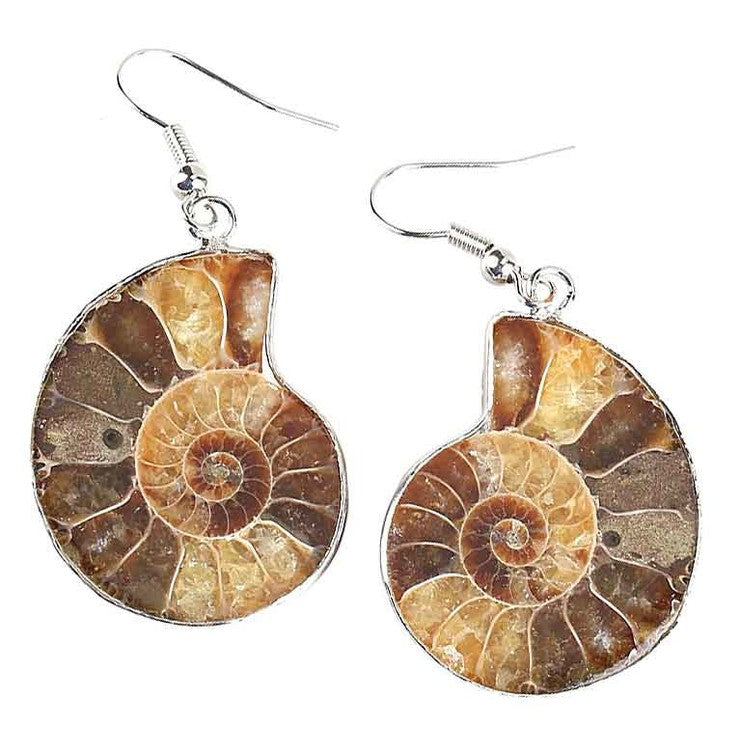 Bruine fossiele schelp oorbellen met sterling zilver (925) liggend | Snail