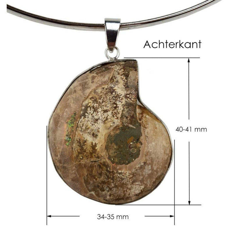 Detail van schelpen ketting met een versteenden nautulus schelp maat indicatie | Snail