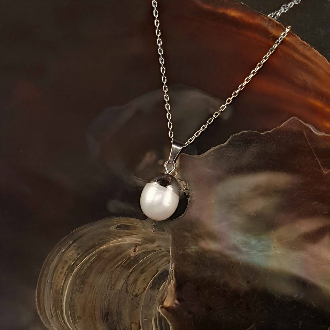 Detail van zoetwater parelketting met witte parel hanger en zilver edelstaal liggend in schelp | Silver Dip White Pearl