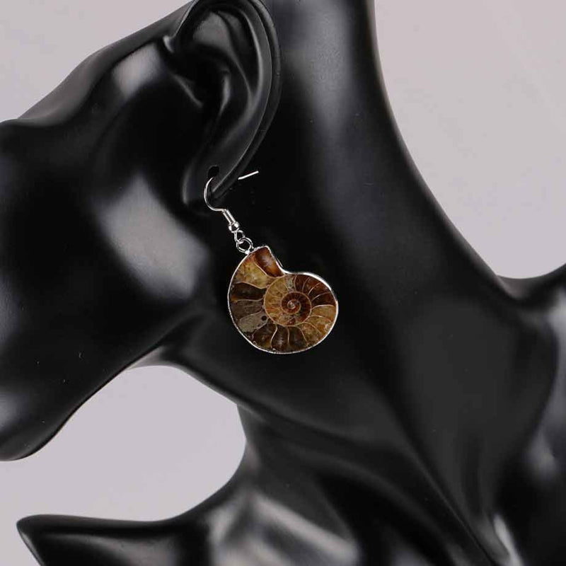 Bruine fossiele schelp oorbellen met sterling zilver (925) op display | Snail