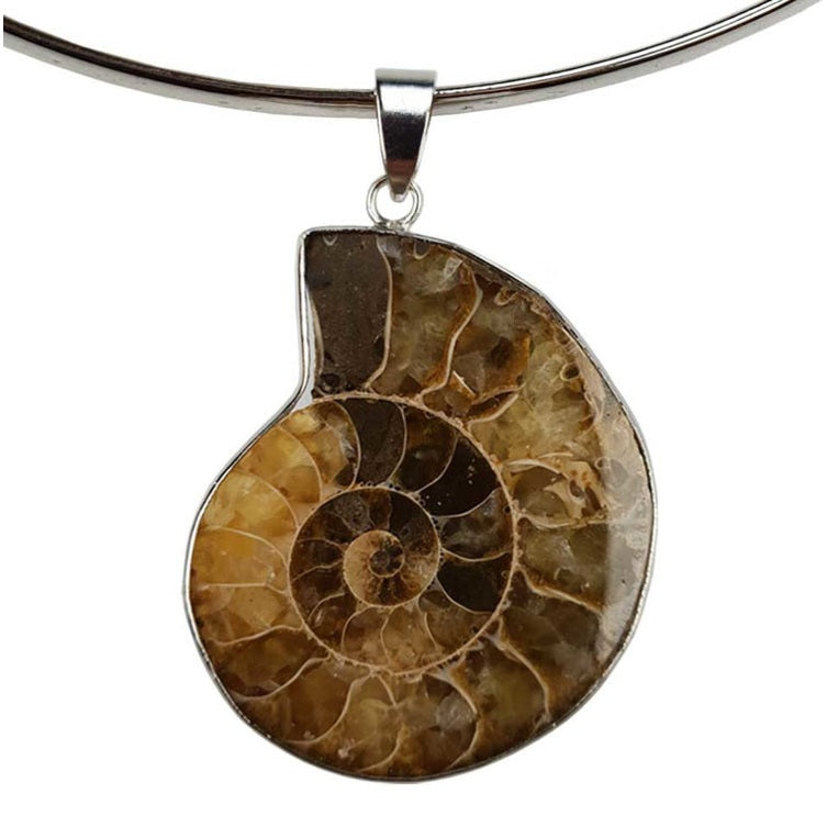 Detail van schelpen ketting met een versteenden nautulus schelp | Snail