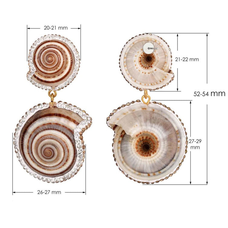 Schelpen oorbellen met wit bruine schelp en stras steentjes | Oorknoppen met schelp met maat indicatie | Bright Double Natural Shell