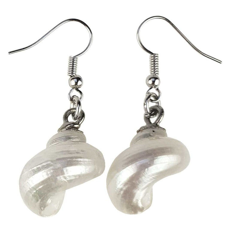 Witte schelpen oorbellen met zilver edelstaal | set Pearl White Turbo Shell