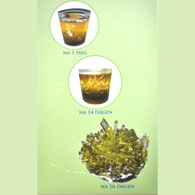 Het eind resultaat van de groei kristal | Cadeau set Crystal Garden - Vrede