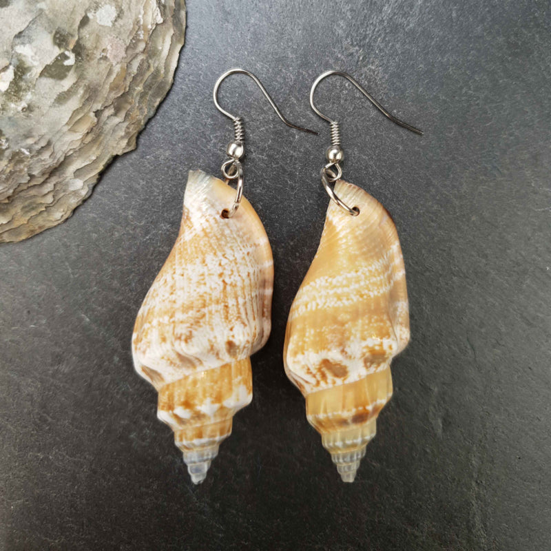 Schelpen oorbellen met crème kleurige schelp en sterling zilver (925) liggend op steen | Big Trumpet Shell