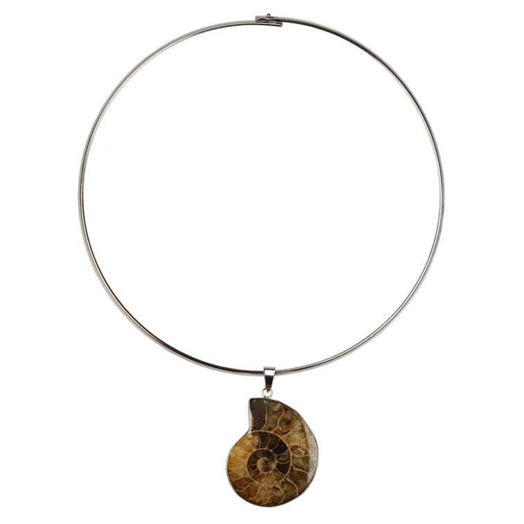 Schelpen ketting met een versteenden nautulus schelp | Snail