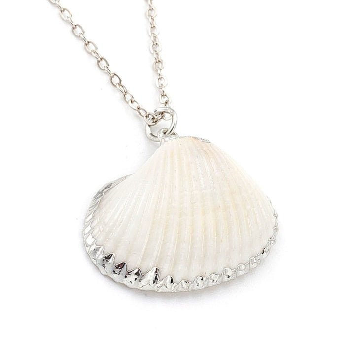 Detail van schelpen ketting met witte schelp en zilver edelstaal | set White Cockel Shell Silver