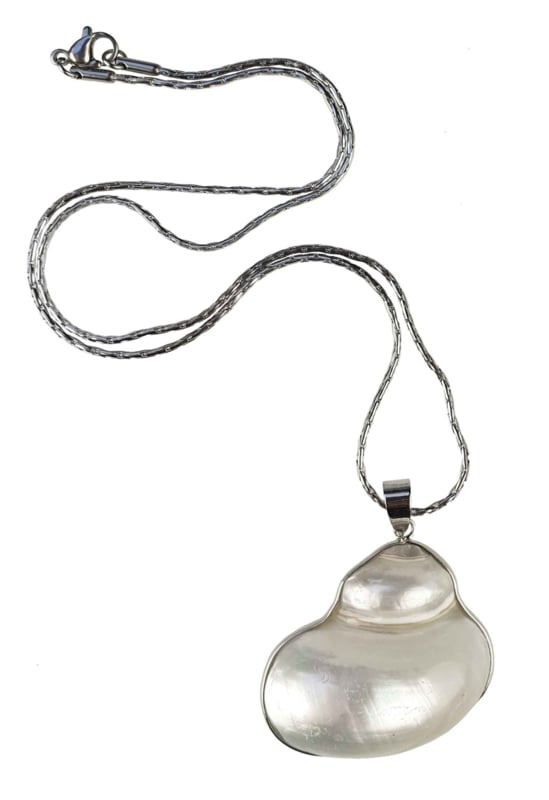 Witte schelpen ketting met zilver edelstaal | set Pearl White Turbo Shell