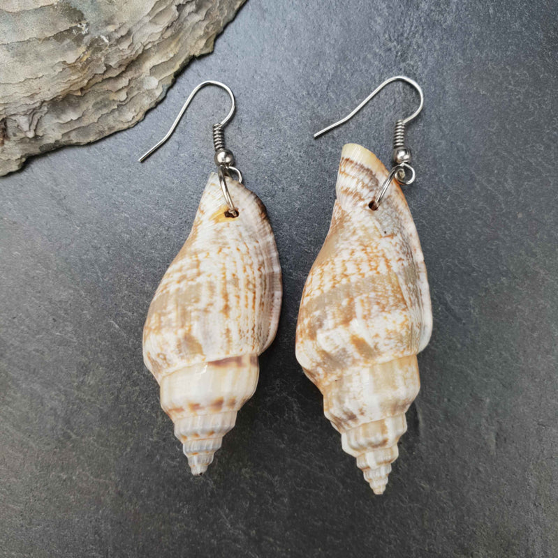 Schelpen oorbellen met wit met bruine schelp met sterling zilver (925) liggend op steen | Big Trumpet Shell Brown & White