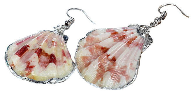 Schelpen oorbellen met Shell schelp en sterling zilver (925) liggend | Shellina