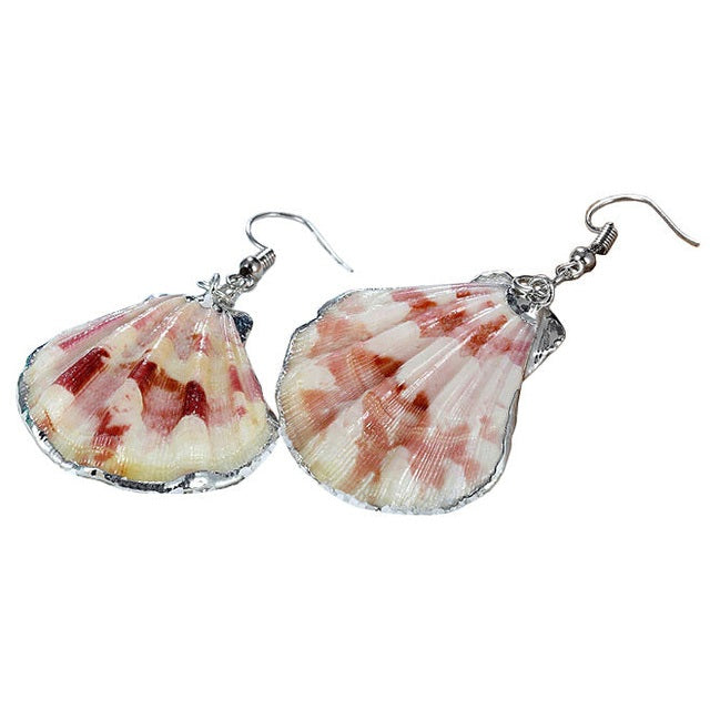 Schelpen oorbellen met Shell schelp en sterling zilver (925) liggend | Shellina