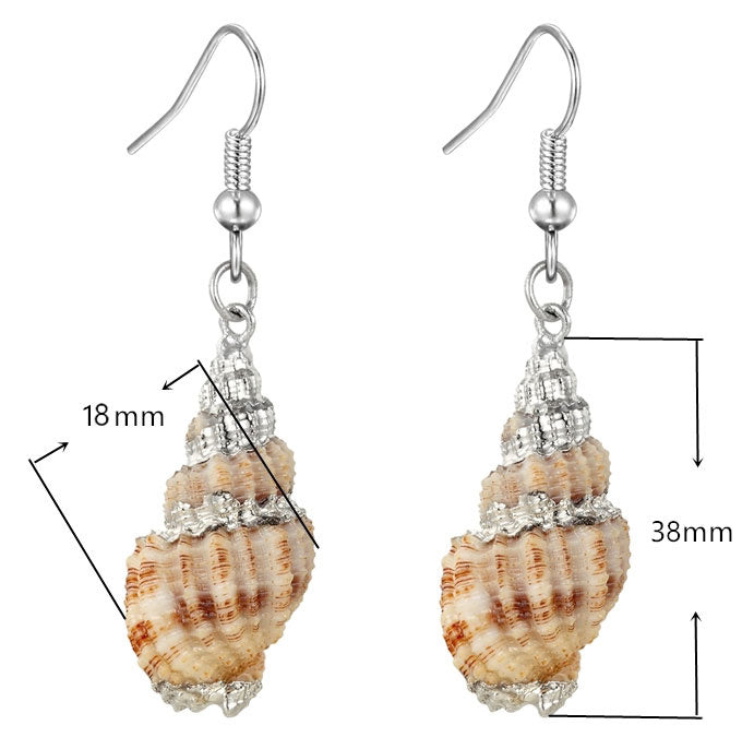 Schelpen oorbellen met beige en bruine schelp met sterling zilver (925) met maat indicatie | Ribbed Seashell Silver
