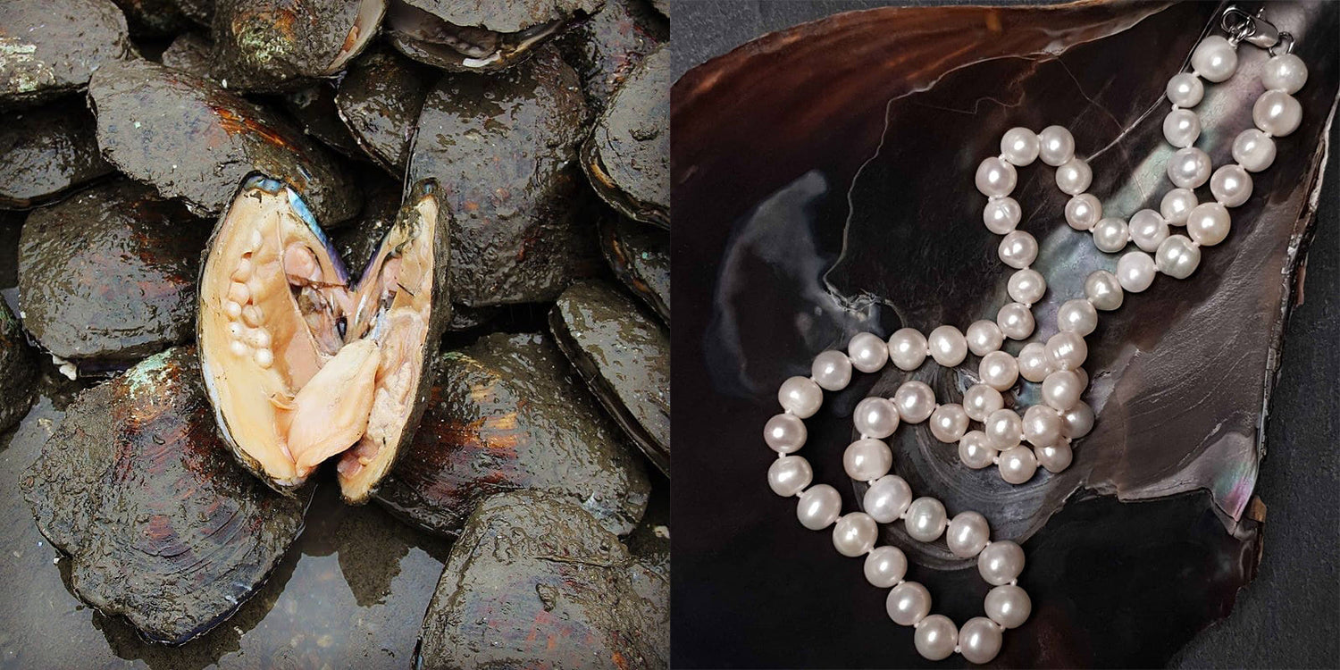 Hoe ontstaan parels?